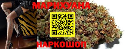 гашик Нальчик