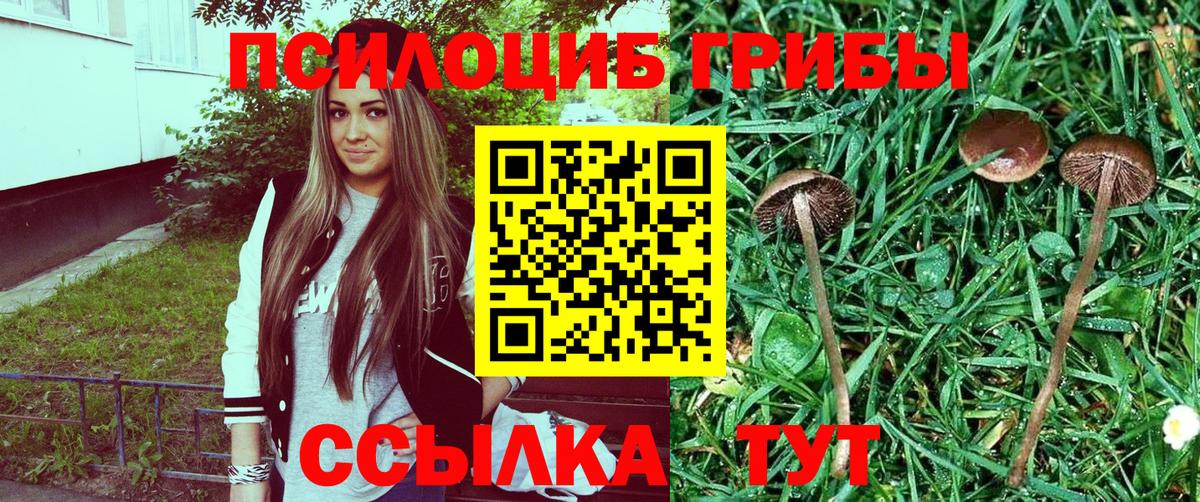 Псилоцибиновые грибы Psilocybe  Вход с VPN  сколько стоит  Гагарин 